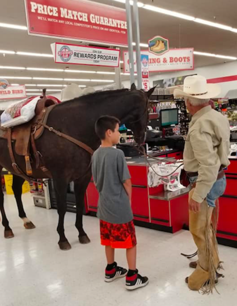 jolly ball horse tractor supply